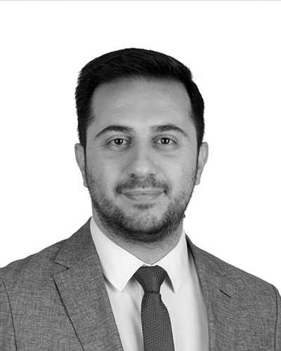 Dr. Said Haifawi