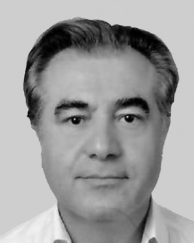 Dr. Said Haifawi